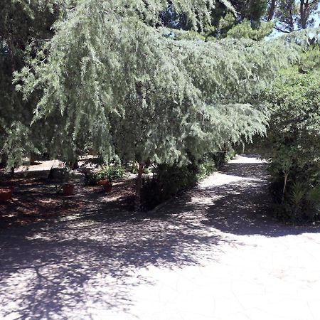 B&B Villa Pallante Bari Dış mekan fotoğraf